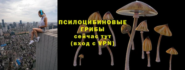 сатива Алексин