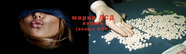 сатива Алексин