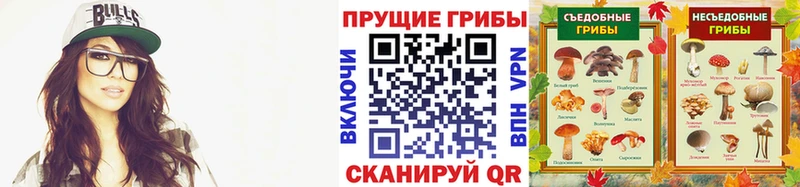 Галлюциногенные грибы прущие грибы  Порхов 