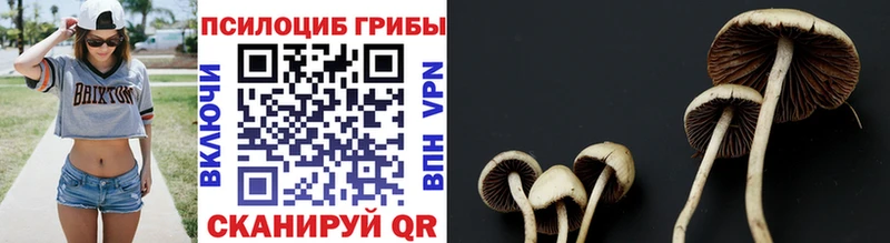 Псилоцибиновые грибы Magic Shrooms Порхов